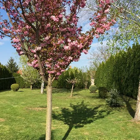 Silentium Garden