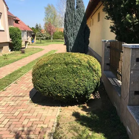 Silentium Garden Πανσιόν Sárvár