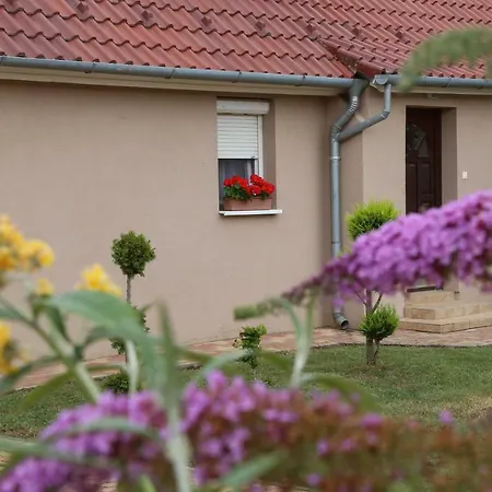 Silentium Garden ゲストハウス シャールヴァール