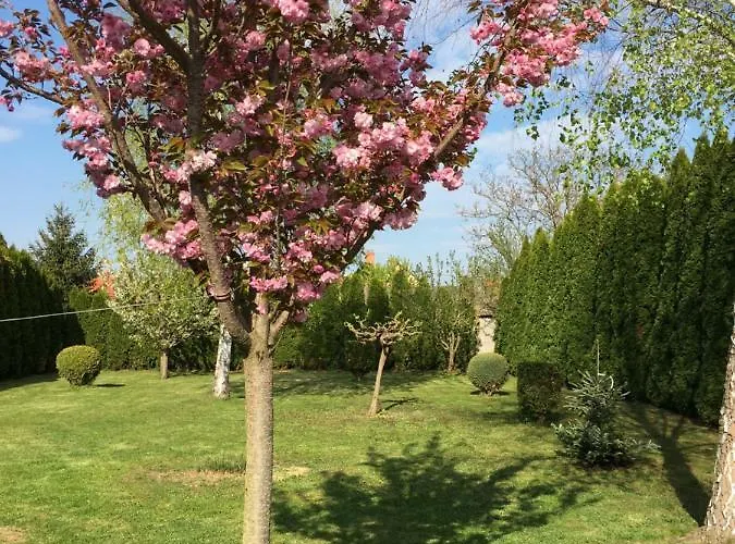 Silentium Garden